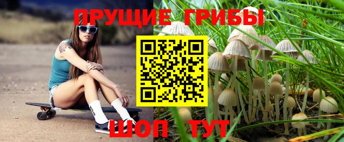 Мегион  Псилоцибиновые грибы Cubensis  Вход с VPN 